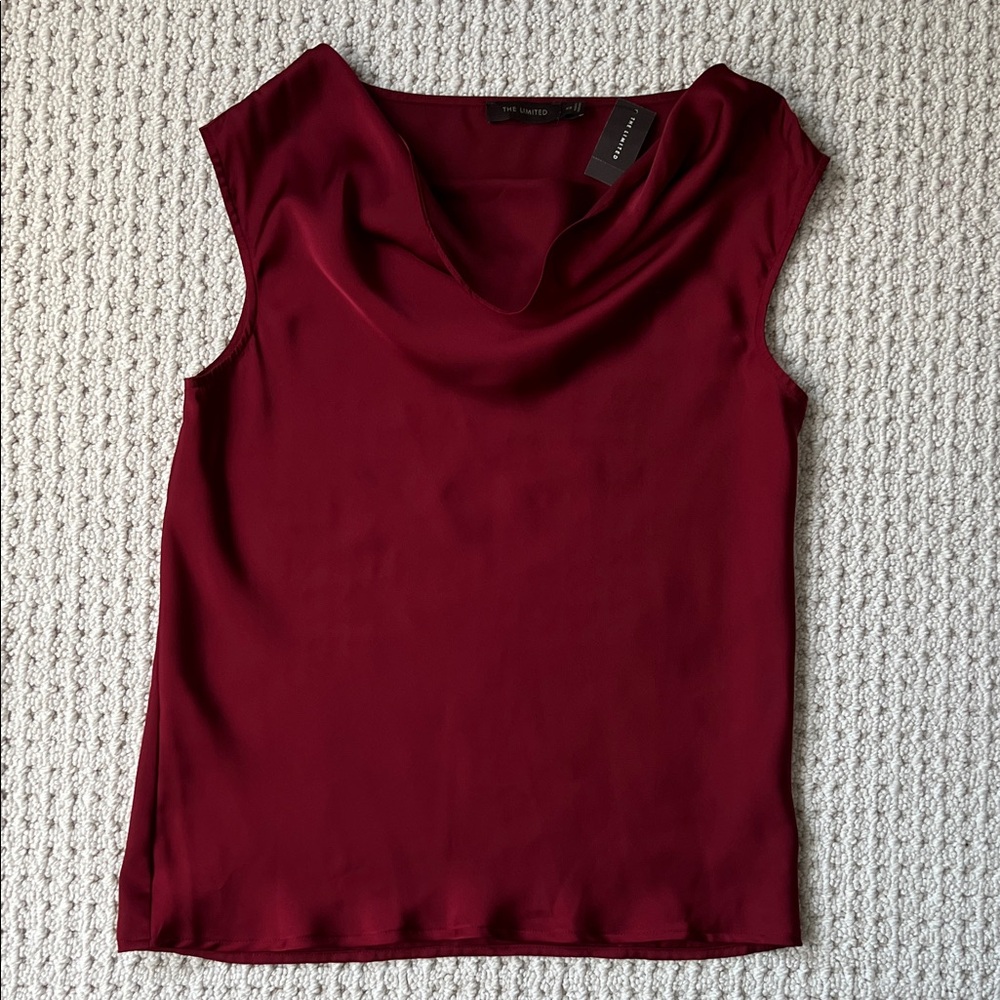 The Limited Deep Red Cowl Neck Sheer Blouse